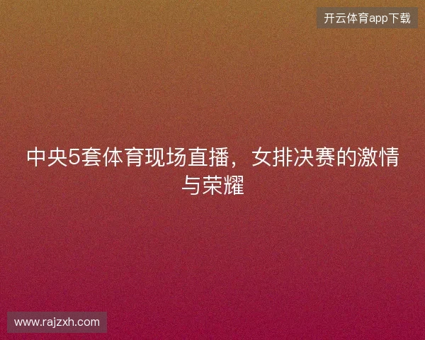 中央5套体育现场直播，女排决赛的激情与荣耀